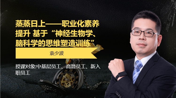 蒸蒸日上——职业化素养提升 基于“神经生物学、脑科学的思维塑造训练”