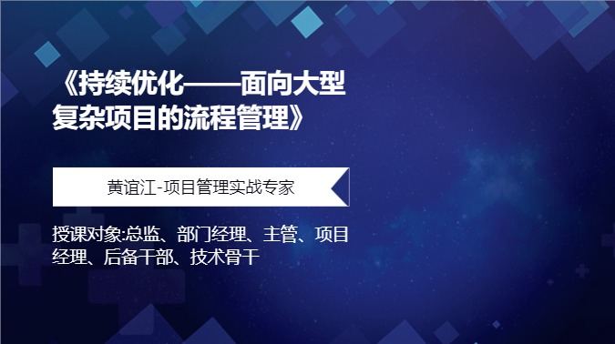 《持续优化——面向大型复杂项目的流程管理》