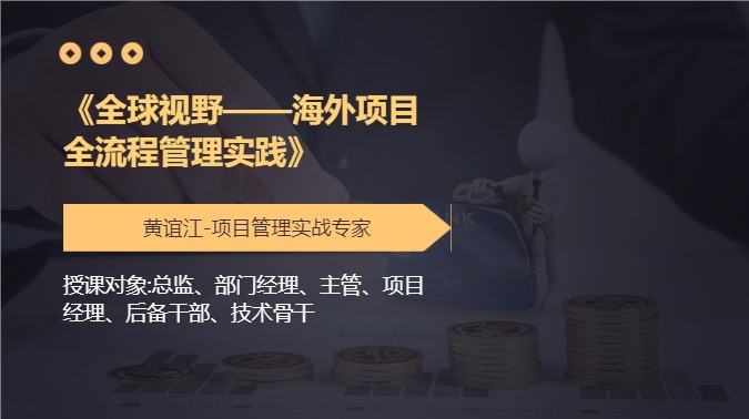 《全球视野——海外项目全流程管理实践》