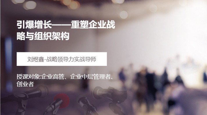 引爆增长——重塑企业战略与组织架构