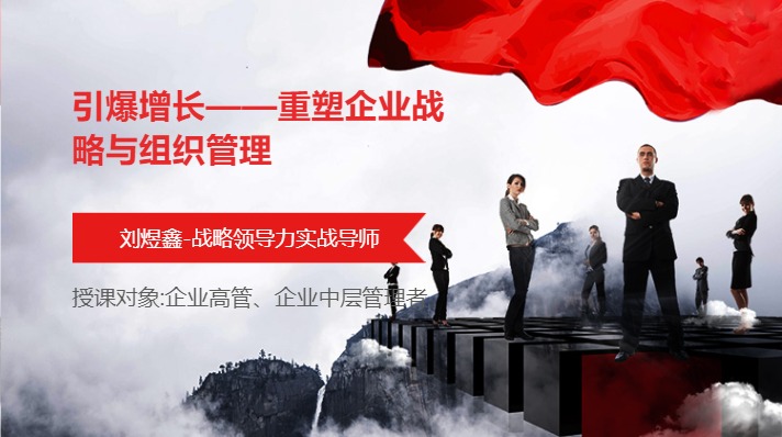 引爆增长——重塑企业战略与组织管理