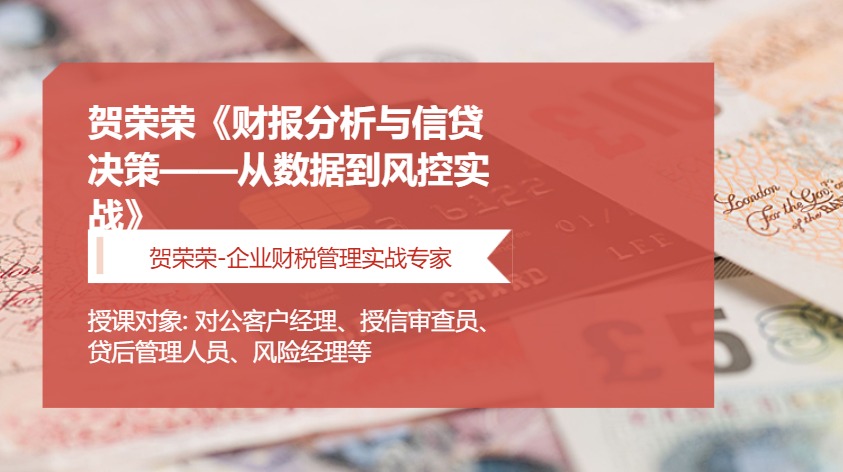 贺荣荣《财报分析与信贷决策——从数据到风控实战》