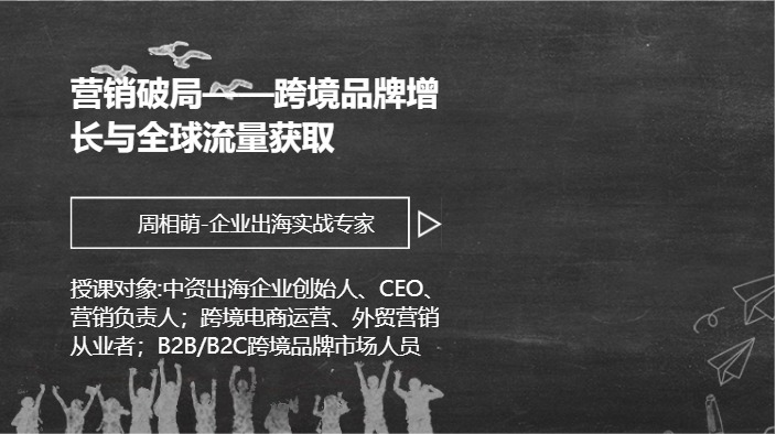营销破局——跨境品牌增长与全球流量获取