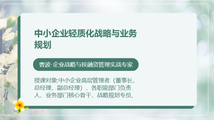 中小企业轻质化战略与业务规划