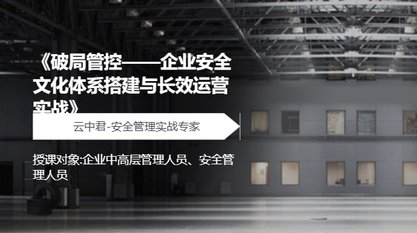 《破局管控——企业安全文化体系搭建与长效运营实战》