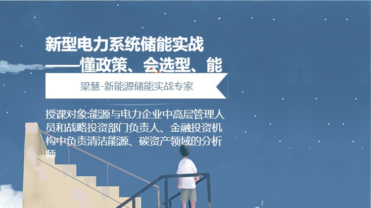 新型电力系统储能实战 ——懂政策、会选型、能落地、善投资