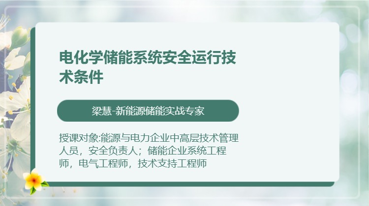 电化学储能系统安全运行技术条件